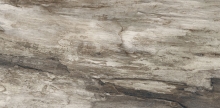 Emilceramica petrified tree grey bark burkolólap